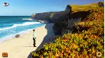 Lost in Paradise АВТОДОСТАВКА STEAM GLOBAL МГНОВЕННО ЛИЦЕНЗИЯ