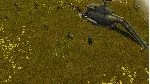 ATOM RPG - Supporter Pack DLC АВТОДОСТАВКА STEAM РОССИЯ - irongamers.ru