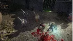 Vikings - Wolves of Midgard XBOX [ Игровой Ключ 🔑 ]