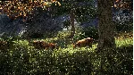 Far Cry 4 (Русский язык) Online / Аренда аккаунта 60 дн