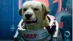 Marvel&acute;s Guardians of the Galaxy RU\UA\BY ⭐ STEAM ⭐ - irongamers.ru