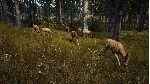 Way of the Hunter Elite Edition АВТОДОСТАВКА STEAM GLOBAL МГНОВЕННО ЛИЦЕНЗИЯ