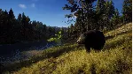 Way of the Hunter Elite Edition АВТОДОСТАВКА STEAM GLOBAL МГНОВЕННО ЛИЦЕНЗИЯ