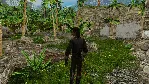 Sea Dogs: To Each His Own Flying the Jolly Roger STEAM - irongamers.ru