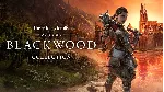 The Elder Scrolls Online Collection Blackwood CE XBOX - irongamers.ru
