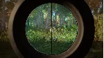 theHunter: Call of the Wild™ - Revontuli Coast XBOX 🔑 