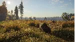 theHunter: Call of the Wild™ - Revontuli Coast XBOX 🔑 