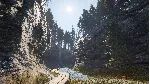 theHunter: Call of the Wild™ - Revontuli Coast XBOX 🔑 