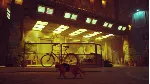 Stray + DLC | Steam | Обновления | АВТОВЫДАЧА | GLOBAL