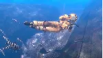 Depth - Wilhelm Diver DLC АВТОДОСТАВКА STEAM РОССИЯ - irongamers.ru