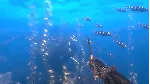 Depth - Wilhelm Diver DLC АВТОДОСТАВКА STEAM РОССИЯ - irongamers.ru