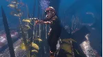 Depth - Back in the Water DLC STEAM GIFT РОССИЯ - irongamers.ru