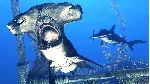 Depth - Legendary Hammerhead Skin DLC STEAM GIFT RU - irongamers.ru
