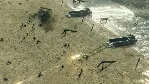 Sudden Strike 4 | Steam Gift Россия