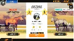 Rival Stars Horse Racing | Steam Gift Россия - irongamers.ru