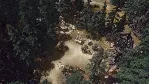 SpellForce 3: Fallen God | Steam Gift Россия