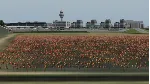 X-Plane 11 - Add-on: Aerosoft - Airport Amsterdam DLC | - irongamers.ru