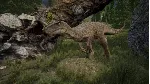 The Isle | АВТОДОСТАВКА [Россия - Steam Gift] - irongamers.ru