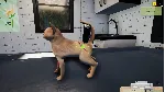 Animal Shelter - Puppies & Kittens DLC АВТОДОСТАВКА STEAM РОССИЯ - irongamers.ru