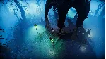 🩸 V Rising {Steam Key/Global/Region Free} + Подарок🎁 