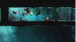 They Always Run (Steam ключ / РФ+Весь Мир) - irongamers.ru