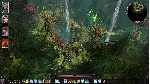 Divinity: Original Sin 2 - Definitive Edition АВТОДОСТАВКА STEAM GLOBAL МГНОВЕННО ЛИЦ