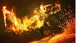 Marvel&acute; s Midnight Suns Legendary Edition PAYPAL STEAM - irongamers.ru