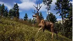 Way of the Hunter + ОБНОВЛЕНИЯ И DLS / STEAM АККАУНТ