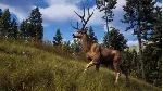 Way of the Hunter Elite Edition + DLC | АВТОВЫДАЧА 24/7 - irongamers.ru
