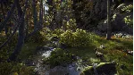 Way of the Hunter Elite Edition + DLC | АВТОВЫДАЧА 24/7 - irongamers.ru