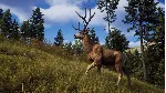 Way of the Hunter: Elite Edition Xbox Series X|S