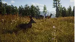 Way of the Hunter: Elite Edition Xbox Series X|S