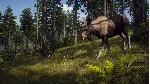 Way of the Hunter: Elite Edition Xbox Series X|S