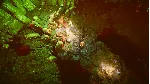 Slaycation Paradise АВТОДОСТАВКА STEAM GLOBAL МГНОВЕННО ЛИЦЕНЗИЯ - irongamers.ru