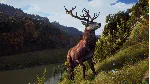 Way of the Hunter. STEAM-ключ (RU+СНГ)
