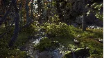 Way of the Hunter Elite Edition. STEAM-ключ (RU+СНГ)