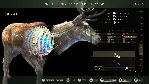 WAY OF THE HUNTER XBOX|XS КЛЮЧ - irongamers.ru