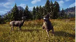 WAY OF THE HUNTER XBOX|XS КЛЮЧ - irongamers.ru
