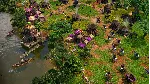 Age of Empires III - The African Royals * RU/СНГ/TR/AR