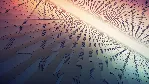 Manifold Garden 💎 АВТОДОСТАВКА STEAM GLOBAL МГНОВЕННО ЛИЦЕНЗИЯ