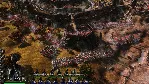Medieval Kingdom Wars Steam Ключ Region Free - irongamers.ru