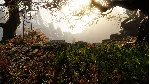 The Land of Pain 💎 АВТОДОСТАВКА STEAM GLOBAL МГНОВЕННО ЛИЦЕНЗИЯ