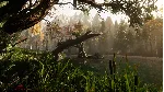 The Land of Pain 💎 АВТОДОСТАВКА STEAM GLOBAL МГНОВЕННО ЛИЦЕНЗИЯ