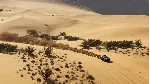 Dakar Desert Rally - Deluxe Edition Xbox One & X|S - irongamers.ru