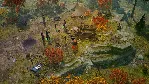 Pathfinder Wrath of the Righteous - Season Pass XBOX - irongamers.ru