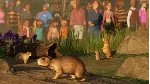 💳 Planet Zoo: North America Animal Pack Steam Ключ