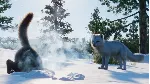 💳 Planet Zoo: North America Animal Pack Steam Ключ