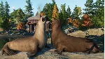 💳 Planet Zoo: North America Animal Pack Steam Ключ