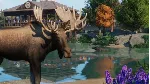 💳 Planet Zoo: North America Animal Pack Steam Ключ