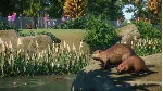 Planet Zoo: North America Animal Pack DLC | Steam Gift